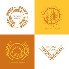 Set of vector linear wheat fields logo design template