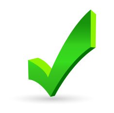 Check Mark Icon N5