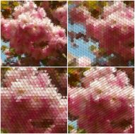The tree with purple flowers Collection of abstract multicolored backgrounds