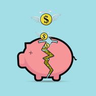 Broken Piggy Bank concept for financial dollar