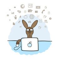 Kangaroo in the office