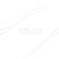 Vector white of wavy banner