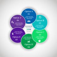 Vector circle infographic N21