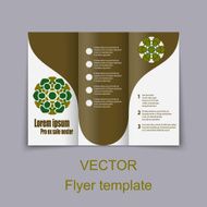 Vector Brochure Layout Design Template N14
