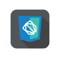 vector web development shield sign - js framework dart isolated