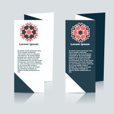 Vector Brochure Layout Design Template N6