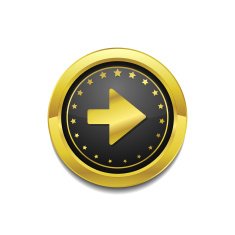 Right Key Circular Vector Gold Web Icon Button