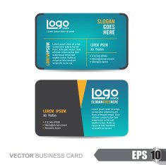 Business Card 290 N4