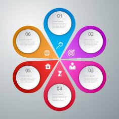 Vector illustration infographics six options N3