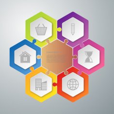 Vector illustration infographics seven hexagons