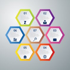Vector illustration infographics seven hexagons N3