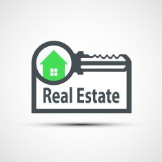 Vector icon of real estate N2