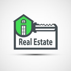 Vector icon of real estate N3