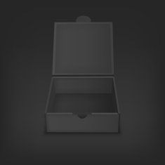 Vector mock up illustration for presentation packaging design