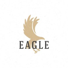 Flying Eagle hand drawn logo emblem template