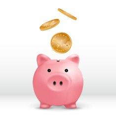 Piggy Bank N11