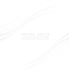 Vector white of wavy banner