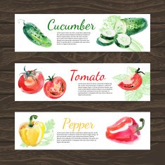 Watercolor and sketch vegetables organic food horizontal banner N2