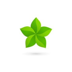 Abstract star eco leaves icon design template elements