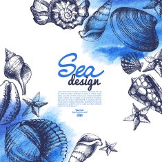 Seashell background Sea nautical design Hand drawn sketch and