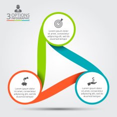 Vector circle infographic N24