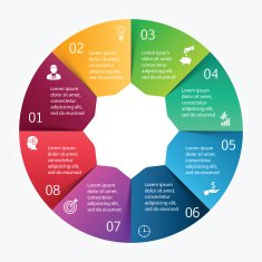 Vector circle infographic N25