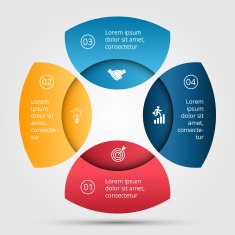 Vector circle infographic N26