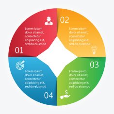 Vector circle infographic N27