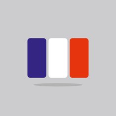 France flag stylized French flag of geometrical elements Vecto