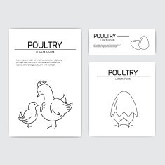 Business identity set with poultry elements
