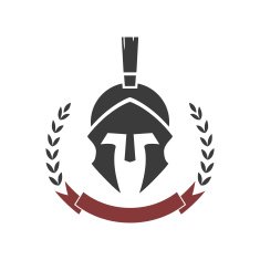 Helmet N2
