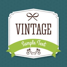 Vintage and retro label design N17