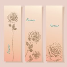 Set of three banners Beautiful rose