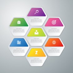 Vector illustration infographics of hexagons N3