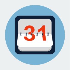 Calendar flat icon N2