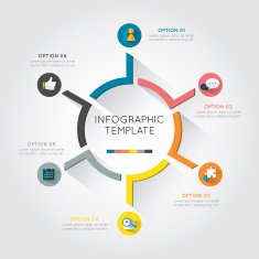 Infographic template colorful circle