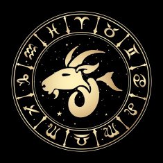 zodiac sign Capricorn vector illustration