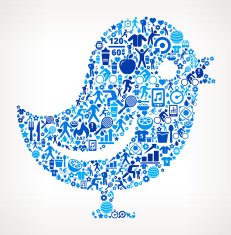 Bird Fitness and Diet Vector Button Pattern N2