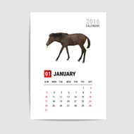 January 2016 calendar horse polygon vector