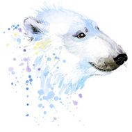 Polar bear illustration with splash watercolor textured background