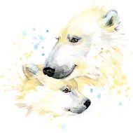 Polar bear illustration with splash watercolor textured background N2