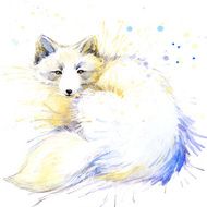 polar fox illustration with splash watercolor textured background