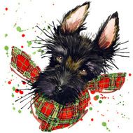 Scotch terrier illustration with splash watercolor textured background