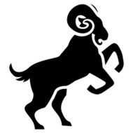 Stylized Ram Illustration Isolated On White Background N2
