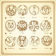 Sketch cats zodiac signs in vintage style