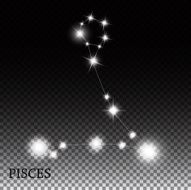 Pisces Zodiac Sign of the Beautiful Bright Stars Vector Illustra