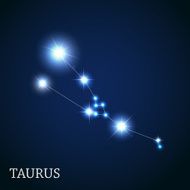 Taurus Zodiac Sign of the Beautiful Bright Stars Vector Illustra N4