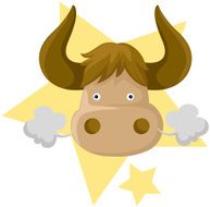 Taurus zodiac sign N2