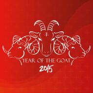 chinese new year N60