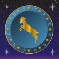 zodiac sign N8